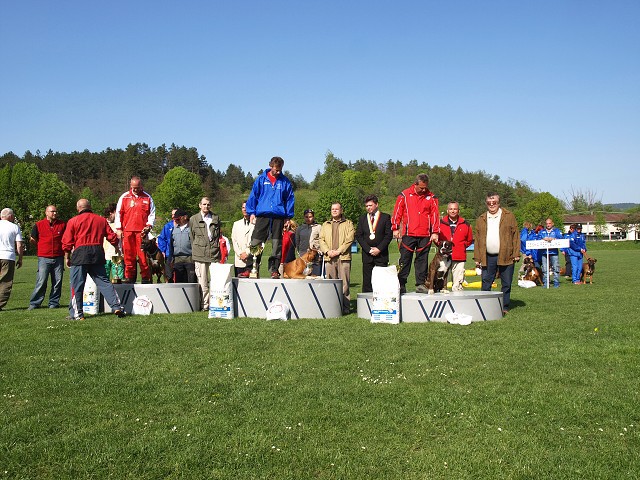 www.atibox.net * www.euroboxer.eu * www.boxergenealogia.eu